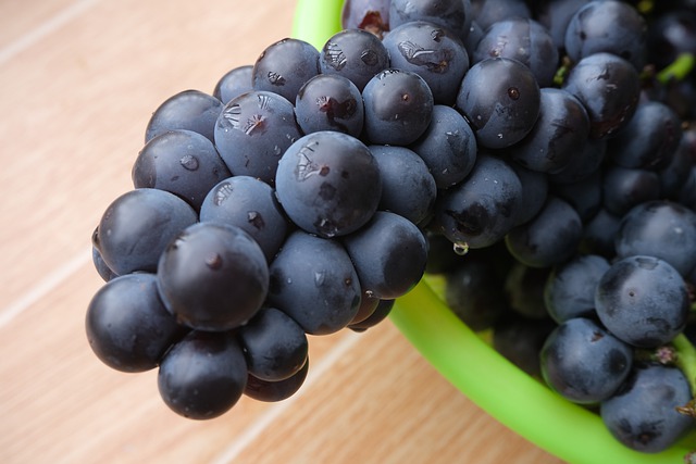 ブドウ（grapes fruits）