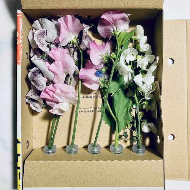 LIFFT 定期便ライトの箱をオープン　花が並べられている
