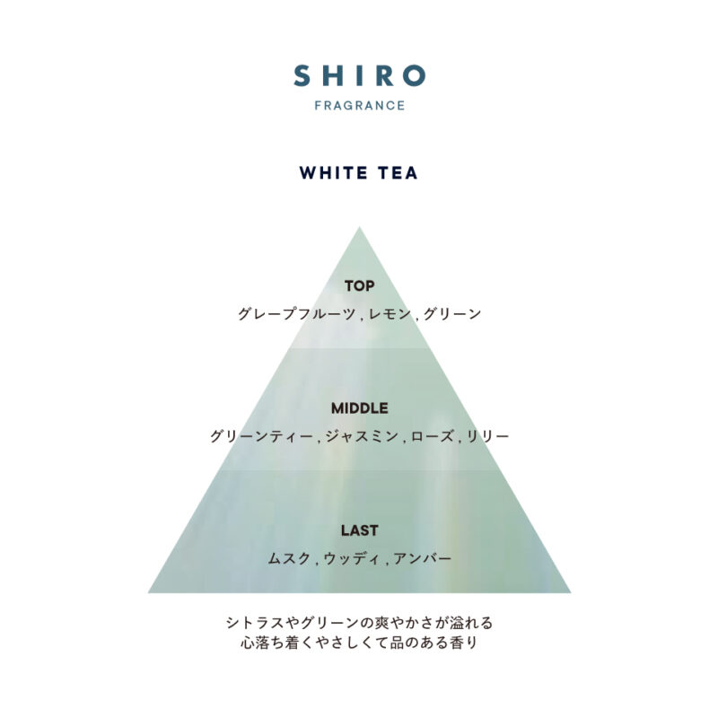 SHIRO ホワイトティー オードパルファン 香りのピラミッド