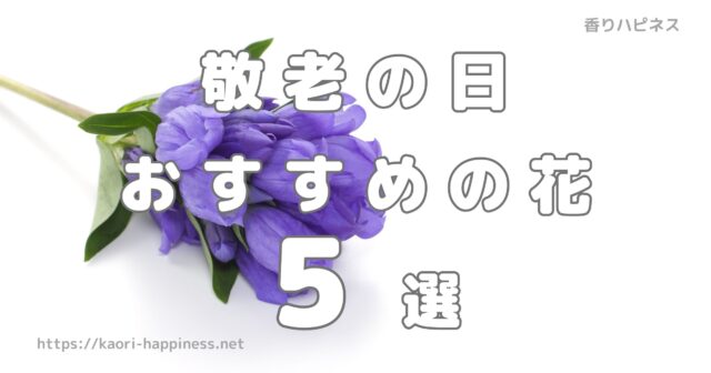 【定番】敬老の日に贈る花おすすめ人気ランキング5選